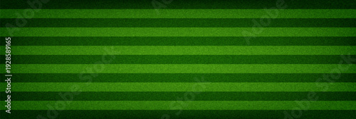 Green grass field concept wallpaper. Abstract turf effect texture. Artificial sport field surface for football, baseball, soccer game. Golf lawn imitation ground design background. Vector