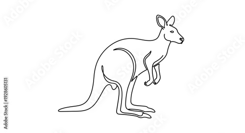 Continuous line drawing of a kangaroo on a white background