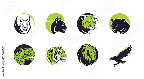 Wild animals vector logo set. Predator icons collection.