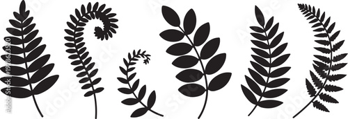 fern leaf silhouettes set minimalist vector illustration