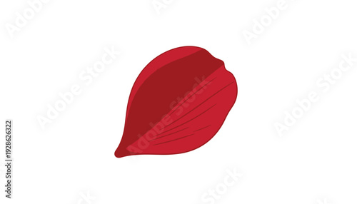 Vibrant red leaf on white background
