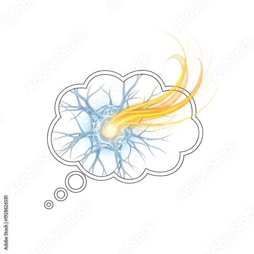 Human Brain with Neural Network Energy Vector