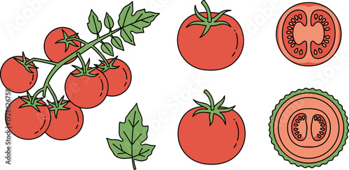 Fresh Red Tomato Vector Illustration Set with Ripe Tomatoes on Vine Sliced Tomato Cross Section Green Leaves and Decorative Vegetable Badge Icons