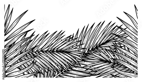 Detailed palm leaves and tropical fronds frame in hand drawn engraving style
