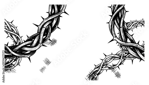 Thorny branches corner design elements in vintage woodcut style