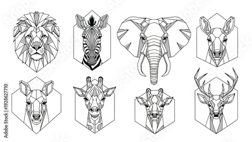 Historical illustrations of various bird species perched on branches