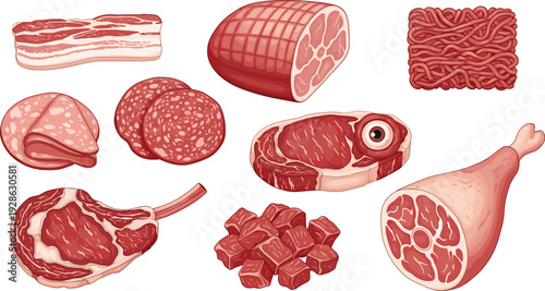 Various types of meat cuts including steak, bacon, and sausage in vector style