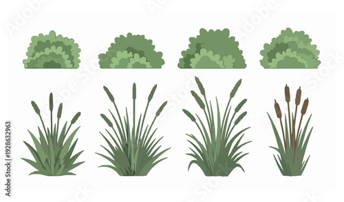 Lush Bushes Grass and Reed Plants Flat Vector Set
