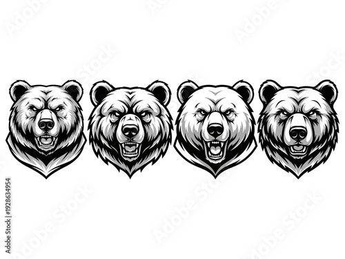Bear head mascot for logo vector