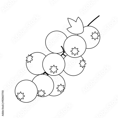 レッドカラントの房をシンプルな線画で描いたベクターイラスト | 塗り絵・アイコン・モノクロ素材