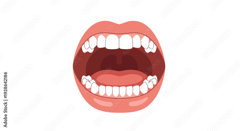 Fototapeta premium Open Mouth Vector Illustration, showing teeth and gums, for dental health, healthcare, and medical concepts.