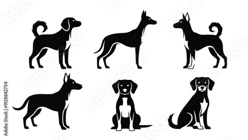 Playful pack of dogs in various poses and breeds captured in black and white