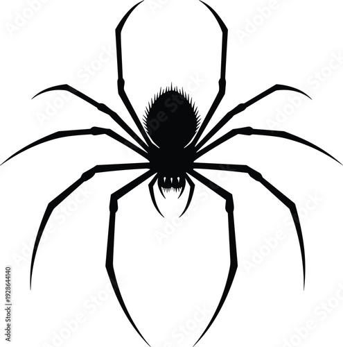 Black spider silhouette, creepy arachnid with thin long legs top view, scary insect wildlife vector, bug isolated on white background, halloween nature design icon.