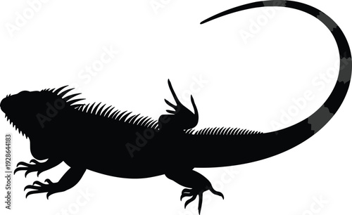 Iguana silhouette, tropical reptile lizard with long tail and spikes, exotic animal wildlife vector, herbivore green iguana profile isolated on white background, nature design.