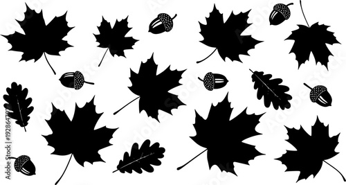 Black silhouettes of various autumn maple oak leaves and acorns white background leaf
