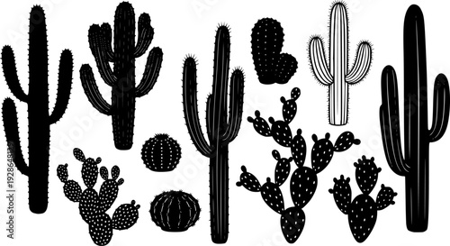 Collection of various black cactus silhouettes on a white background for design projects
