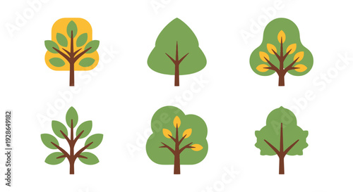 Ash tree Line art minimal smooth style illustration