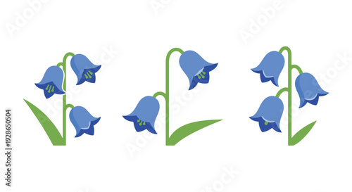 Bluebell Line art colorful modern vector