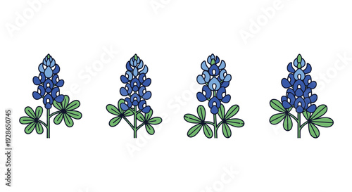 Bluebonnet Line art creative tone color illustration