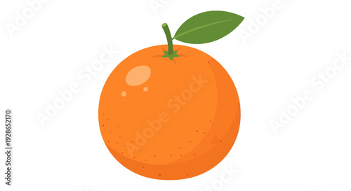 Orange fruit image, Vector Illustration, healthy food concept, fresh citrus design