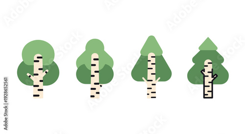Birch tree Line art minimal modern color vector