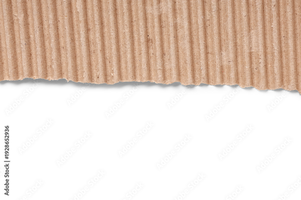 Obraz premium Texture of cardboard isolated on white background, closeup