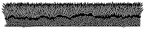 Hand drawn illustration of a soccer field grass turf cross section with soil layer
