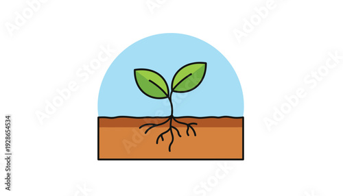 Young plant growing in soil with green leaves