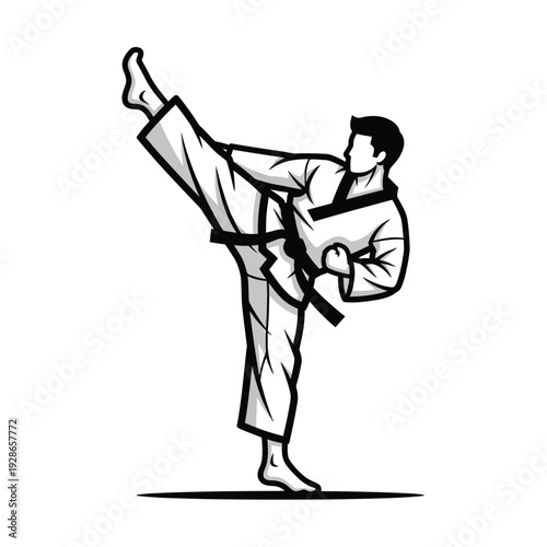 Martial Arts Master Performing a High Kick.