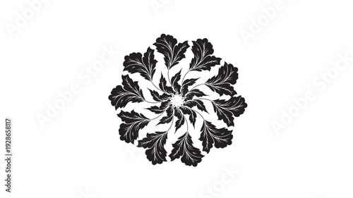 Ornamental Floral Rosette on WHITE BACKGROUND – Symmetrical Botanical Vector Design
