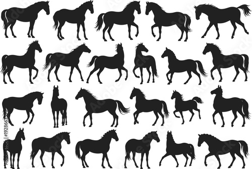 Black horse silhouettes collection, equine vector design, animal posture icons, horse clipart set, wild stallion shapes, horse art illustrations