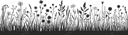 Wildflower silhouette illustration, meadow grass design, botanical plant artwork, floral vector shapes, nature black silhouettes, decorative flora collection, organic field