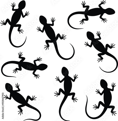 Lizard silhouettes, reptile design, gecko shapes, wildlife art, animal pattern, exotic reptile, nature symbol, decorative illustration, tropical creature, vector graphic