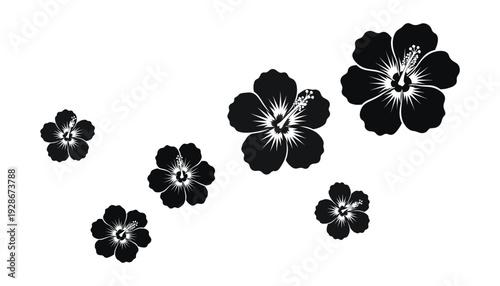 A group of five black and white flowers with white centers and black petals