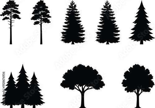 Black tree silhouettes collection featuring pine spruce and deciduous forest elements for nature landscape design and environment conservation graphics