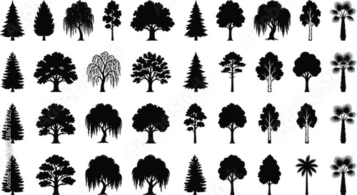 Tree silhouette collection with various species including pine, oak, willow, palm, and spruce for landscape design and nature projects