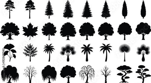 Set of diverse tree silhouettes including pine, palm, maple, and oak for forest landscape design and natural environment vector illustration