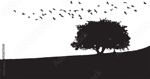 Birds flying over lone tree silhouette on horizon hill landscape at sunset or sunrise nature vector scene