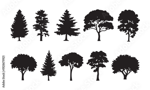 Collection of different tree silhouettes including pine fir and deciduous species for landscape design kit