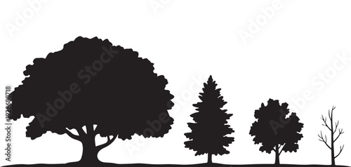 Silhouettes of different tree types, including deciduous and coniferous, against a white background