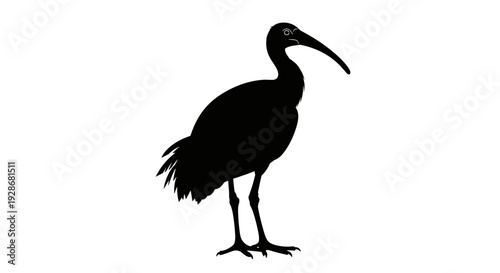 Black Silhouette of a Standing Bird.
