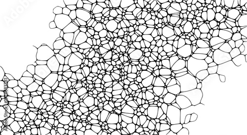 Abstract organic cell network pattern texture background digital art organic cellular structure vector
