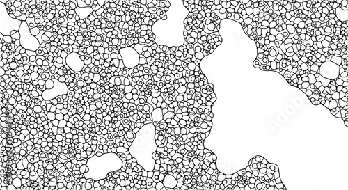 Abstract organic cell network pattern texture background digital art organic cellular structure vector
