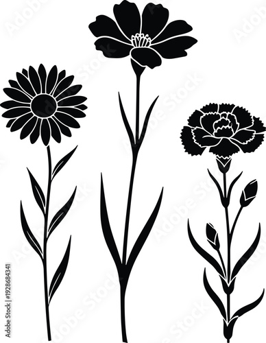 Black and white minimalist floral vector illustration featuring hand drawn wildflower silhouettes, daisy, cosmos, and carnation on white background
