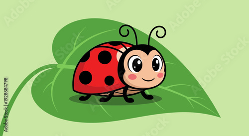 Cute ladybug on green leaf smiling happily outdoors
