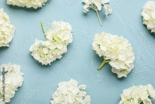 White hydrangea flowers on ...
