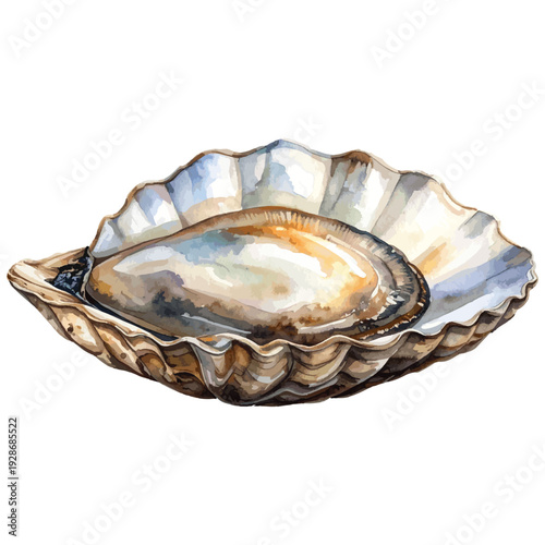 Hand Painted Oyster in Shell