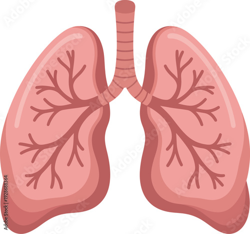 Human Lungs Anatomy Vector Illustration with Bronchial Tree and Trachea Medical Symbol