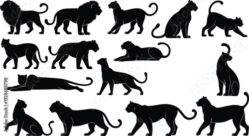 Lion and big cat silhouette collection with various wild feline poses isolated vector set
