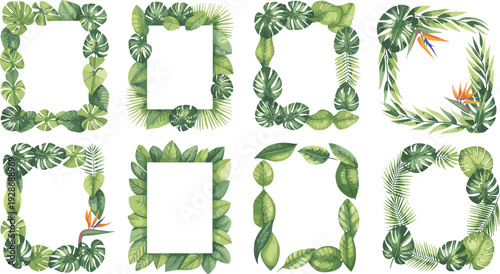 Tropical green leaves frames collection with monstera palm foliage borders isolated vector set